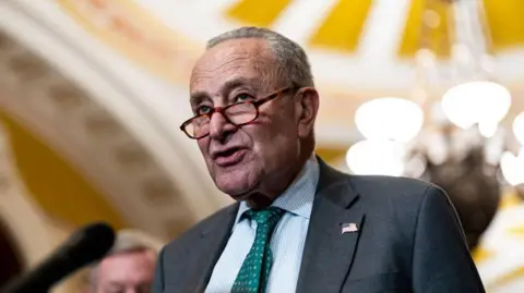 Getty Images Chuck Schumer, the US Senate's top Democrat, holds a press conference.