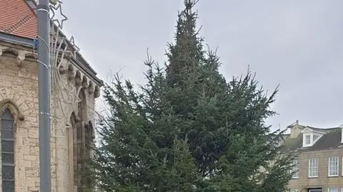 Denis Lindridge The tree before it was decorated near the church in 2022.