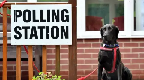 Getty Images A dog outside a polling station