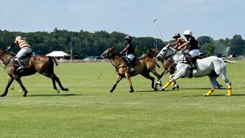Polo players on horses chase the ball on a green polo pitch