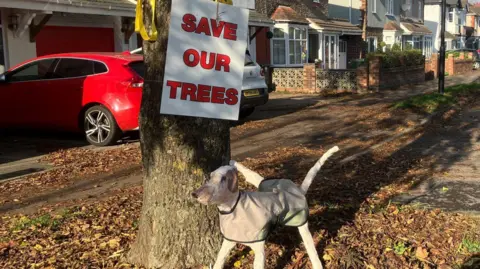 BBC A tree with a sign and a dog ornament in front. The sign on the tree reads 'Save our trees' in red lettering.
