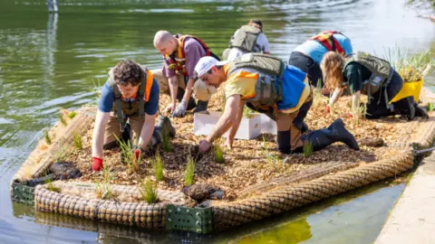 Researchers working on a floating wetland 