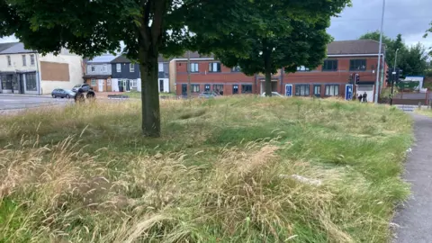 Long grass can be seen by a tree in front of housing in Walsall.  A tree is in the middle of the grassy area with red-brick buildings and roads visible behind it.