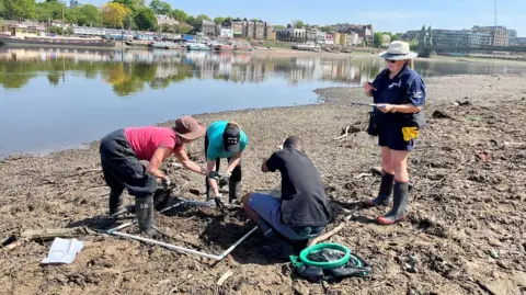 Volunteers on the wet wipe island beside the Thames. The ground appears muddy, and full of wet wipes. The volunteers use a grid system to count the wet wipes, whilst another volunteer writes on a clipboard. It is a very sunny day.