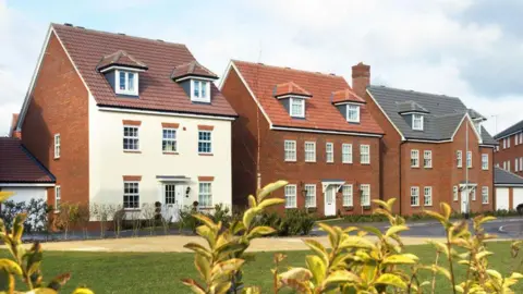 Getty Images A row of newly-build houses in front of a lawn.