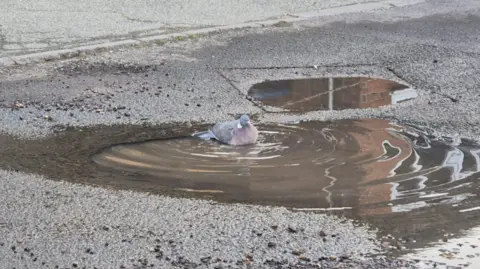 8058ba20-3a4c-11f1-b0ac-b54021fa6ada.png A pothole has burst my tyre - what now and how do I claim?