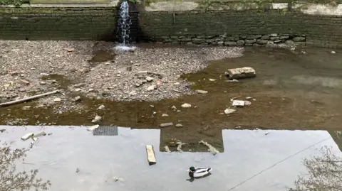 Martin Heath/BBC The base of a canal, showing a dry patch covered in stones and an area of shallow water, on which a small duck is gliding past a piece of wood.  There is a stone wall in the background, and a stream of water is rushing into it.