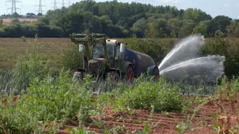 A green tractor, towing a large blue vacuum tanker, with water spraying from out of the back is working its way across a field of leaks