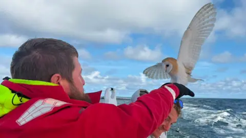 A tan and white barn owl attempting to land on a man's arm while on a boat out at sea.