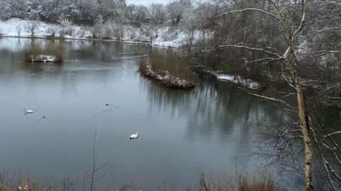 A large lake being overlooked by bare trees, in a country park on a winter morning