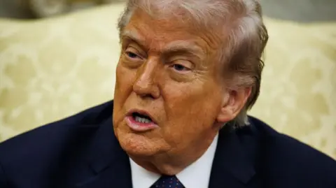 Image shows Donald Trump