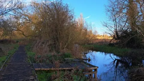 Action for the River Kennet A wooden path by a peaceful river. The path has wooden beams which look to be uneven and discoloured. 