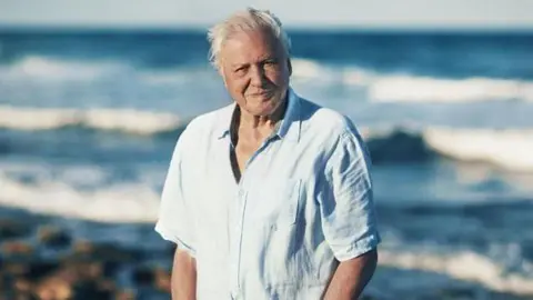 David Attenborough standing in front of a beach on a coast.