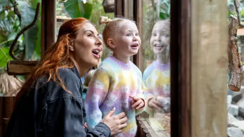 A young girl in a pastel jumper stands in front of her crouching mum looking into a glass zoo enclosure.