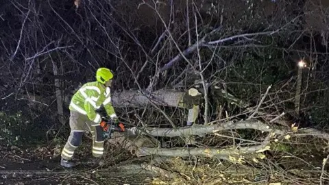 Essex Fire and Rescue Service Firefighter cutting up a tree