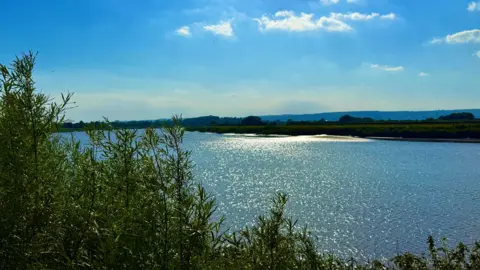 Blue river with a green bush in the forefront and a bright blue sky above. 