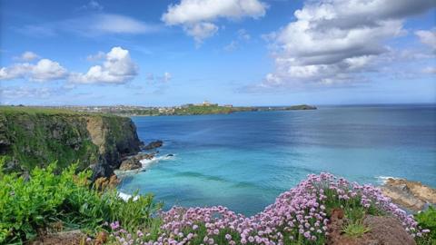 Blue sea and blue sky with white clouds with purple flowers in the foreground and grassy headland to the left