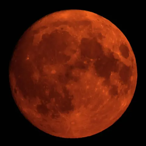 BBC Weather Watchers/littleacorns Southam in Warwickshire