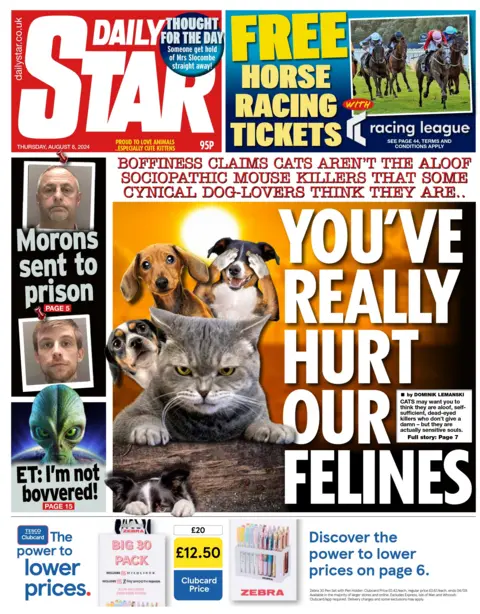 Daily Star: Cats aren’t all bad after all, boffins have found