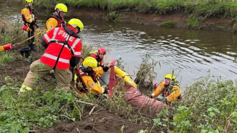 Six fire personnel wearing helmets and water gear work to secure straps around the horse, which is in the water next to the river bank.