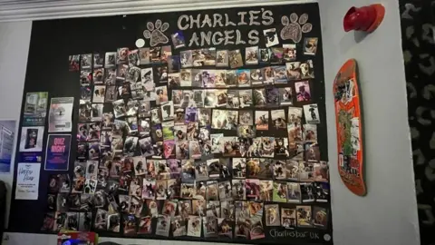 A photo wall of dogs who have visited Charlie's Bar