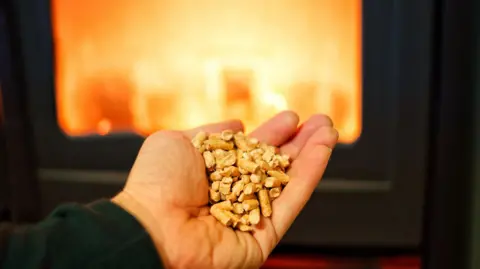 Getty Images An outstretched hand holding wood pellets. There is a fire in a contained dark metal structure in the background.