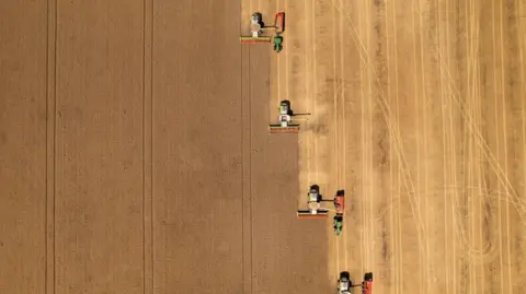 An aerial image of a brown field of crops being harvested by four combine harvesters