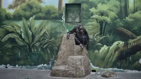 A chimpanzee sits on a man-made 'rock' in a zoo enclosure. A diorama of the wilderness is painted on the wall in the background