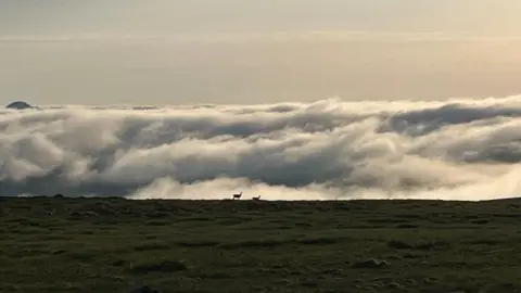 Caelan Bell Hilltop landscape overlooking rolling clouds below, Two deer silhouetted on a ridge above a sea of cloud.