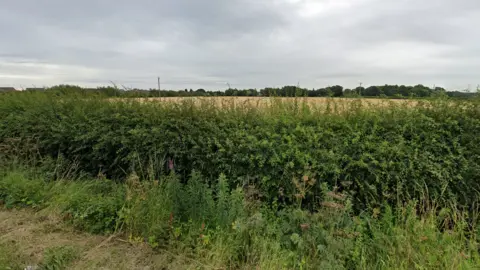 Google A large field behind a hedge