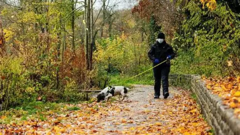 Northamptonshire Police A dog, on a yellow lead, is sniffing at the ground while its handler walks behind it. The path they are walking on is covered in orange and red leaves. 