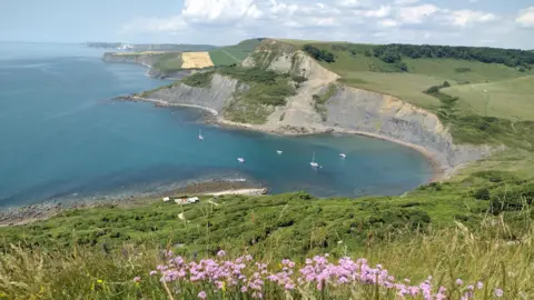 dieterswandering The view of a bay at Worth Matravers on the Dorset coats, looking over the sea with cliffs in the distnace. There are purple flowers in the foreground and five small boats in the water below