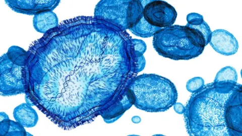 An illustration of the mpox virus, showing a close-up of the virus coloured blue on a white background under a microscope