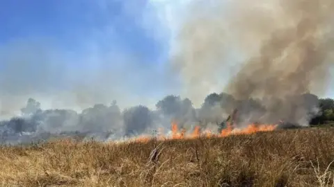 A landscape image of smoke and flames coming up from dry yellowish-brown dry, crispy grass with a row of trees behind it. 