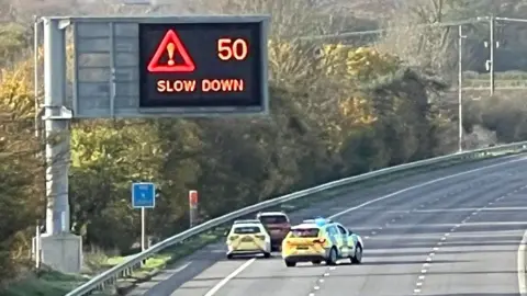 The scene of the crash in M5. Two police cars are on the hard shoulder of the road along with a dark coloured vehicle.