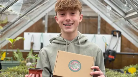 A boy wearing a green hooded jumper and brown hair holds a tomato plant and growing kit, while standing inside a greenhouse surrounded by plants.