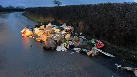 The rubbish on the side of the country road near Newman School in Carlisle. The items are in bags of different colours and sizes, including some black bin bags and shopping bags, as well as lose items. The road is flanked by hedges.
