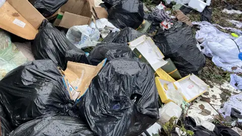 A close up image of severe fly-tipping. There are many black bags dumped, with some split open and the rubbish tipping out of them. 