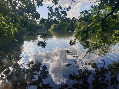 Caroline Jones Tree branches hang above water that is reflecting a cloudy sky