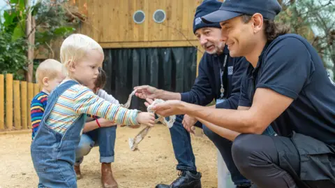 Bristol Zoo Project Two toddlers are handling an item, which looks like a snake skeleton, in a zoo enclosure with sawdust on the floor with the help of two male zoo keepers in blue uniform, who are crouching down to the children's level