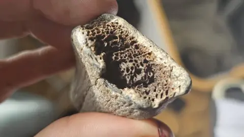 A grey-ish coloured bone fragment being held between a finger and a thumb.