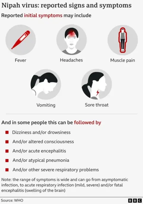 A picture of a graphic showing symptoms of Nipah virus.