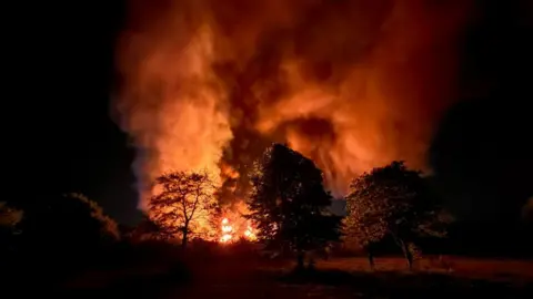 A large orange fire fills the night sky. Trees are in front of the fire and large plumes of smoke are above them.