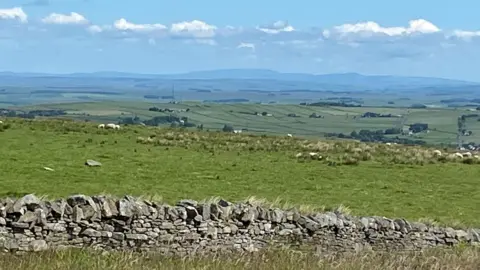A stone wall is in the foreground of the image and behind rolling hills with sheep dotted in.