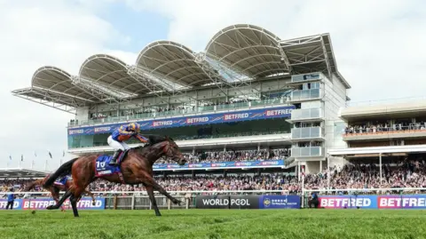 The Jockey Club A horse races down a grass race track with a jockey on its back. A large racing stadium stand building can be seen behind them, filled with hundreds of racegoers. 