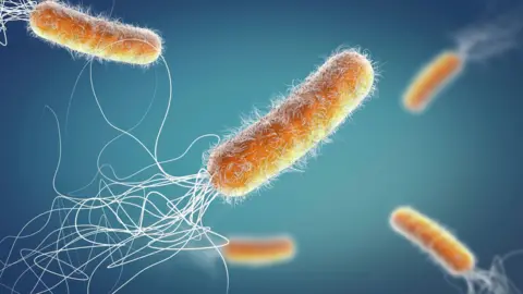 Getty Images Antibiotic resistant Pseudomonas aeruginosa bacteria, 3d illustration.