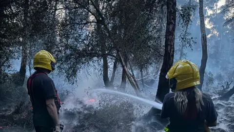 Peterborough Voluntary Fire Brigade Two firefighters in yellow helmets, using a hosepipe to put out the fire on the burnt out greenery.