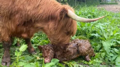 Redlands Coppice Farm Gladis's older sister Georgie