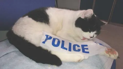 Holmfirth Police Oscar the cat licking his arm