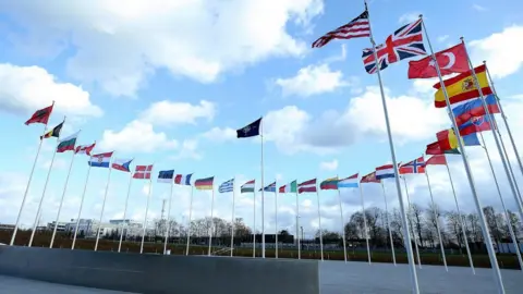 Anadolu Agency Country flag poles